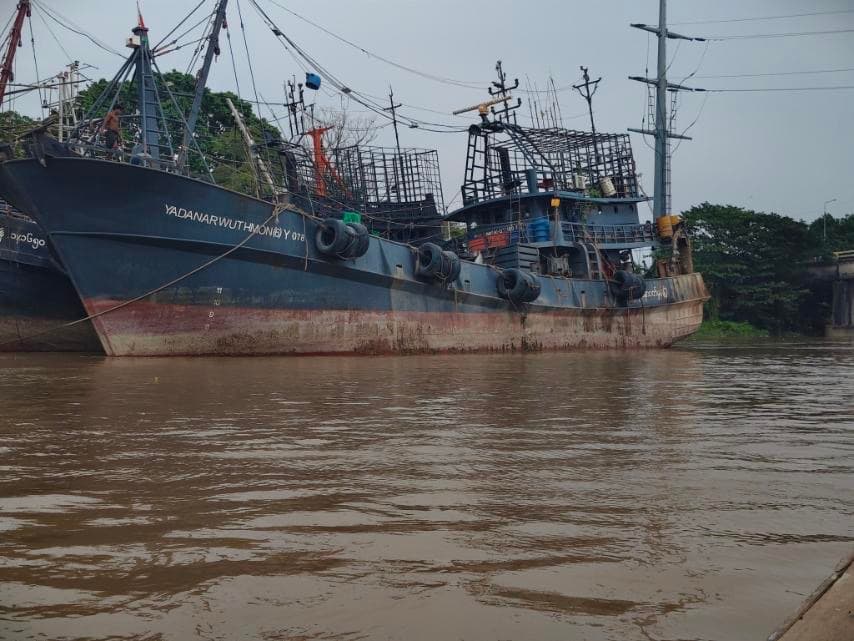 ဆိပ်ကမ်းတွင် ဘေးချင်းကပ်ထားသော SWH ငါးဖမ်းရေယာဉ် အုပ်စု